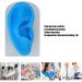 Silicone Simulated Ear Model for Hearing Amplifier Display - Transparent and Blue - Buy Online on GoSupps.com