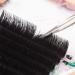 Buy 5 Trays 1 Second Blossom Eyelash Extensions Set | Easy Make Fans C Curl 10-14mm | 0.05mm Thickness | International Shipping - Buy Online on GoSupps.com