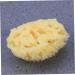 Healeved Bath Sponge Sponges Bath Shower Sponge Seaweed Sponge Natural Algae Sponge - Buy Online on GoSupps.com