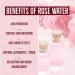 Natural Rose Water - Earth N Pure 100% Pure & Distilled for Glowing Skin Oil Control & pH Balance - 100ML Face Mist & Toner - Buy Online on GoSupps.com