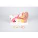 Buy TickiT 03105 Human Ear Model - 4x Life Size Anatomy Model for Education | International Shipping Available - Buy Online on GoSupps.com