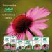 A.Vogel Echinaforce Sore Throat Spray 30ml - Natural Relief for Sore Throat - Buy Online on GoSupps.com