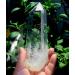 Natural Crystal Rough Crystals Stones 300-400g Large Clear Quartz Natural Point PEIQIYIN - Buy Online on GoSupps.com