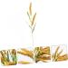 MAGICLULU 2pcs Simulated Ears of Corn Decoration for Home Artificial Wheat Stalks Wheat Ears Dried Flowers Faux Plants Fake Plant Decor Fake Ear of Wheat Pu Manual Fake Grass Goldenx2pcs 12X75CMx2pcs - Buy Online on GoSupps.com