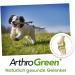 Buy CDVet ArthroGreen Plus 700g | Natural Joint Support for Dogs & Cats | Nutritional Supplement with Vitamins & Minerals - Buy Online on GoSupps.com