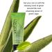 Vitabath Green Tea & Sage Body Wash 10 Fl Oz - Single Bottle - Buy Online on GoSupps.com