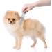 Stainless Steel Pet Grooming Comb with Rounded Teeth for Dogs and Cats, 19 x 3 cm Silver - Buy Online on GoSupps.com