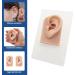Silicone Ear Model Set with Acrylic Stand - Left & Right Fake Ear Piercing Practice for Jewelry Display - Buy Online on GoSupps.com