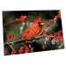 3dRose Northern Cardinal Male in ICY Green Hawthorn Tree ... - Desk Pad Place Mats (dpd-250944-1)