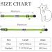 TagME 2 Pack Personalized Reflective Cat Collars with Bell - Green - Buy Online on GoSupps.com
