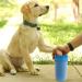 CHOOSEEN Large Dog Paw Cleaner - 2 in 1 Grooming Supplies for Paw Washing (No.D941034) - Buy Online on GoSupps.com