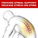 Decompression Back Belt - Spinal Traction for Lower Back Pain Relief | Shop Internationally - Buy Online on GoSupps.com