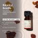 AROMAFUME Frankincense Essential Oil - 100% Natural Therapeutic Grade Essential Oils - Pure Calming Aromatherapy Oil for Home Diffusers - Gifts for Her - 10ml - Buy Online on GoSupps.com