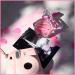 PRINCESSE MARINA de BOURBON My Dynastie Princess - Eau de Parfum for Women - Opens with Bamboo Leaf Lemon Zest and Green Apple - Blended with Lily - For Trendy and Wise Ladies - 3.4 oz 1.7 Ounce (Pack of 1) - Buy Online on GoSupps.com