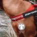 EZYDOG Express Dog Harness | Angled Ergonomic Design with Moulded Grip Handle | Easy Release Buckle | Small Black - Buy Online on GoSupps.com