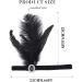 Handcess 1920s Feather Flapper Headband Black Feather Crystal Headband Women's Vintage Flapper Headpiece 20's Theme Cocktail Hair Accessories for Costume Prom Carnival Theme Party - Buy Online on GoSupps.com