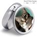 Curious Cat Print Round Pill Box - 3 Compartment Decorative Metal Organizer for Traveling | Ideal Pocket Pill Case - Buy Online on GoSupps.com