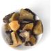 Septarian Raw Crystals Large 1.25-2.0 | Healing & Natural Rough Stones for Tumbling, Cabbing, Decoration | Wicca, Reiki & Polishing - Buy Online on GoSupps.com