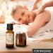 Pine Needle Oil 20ml - 100% Pure & Natural Pinus Sylvestris - Aromatherapy Diffuser & Christmas Tree Scent - Wellness Essential Oil from Austria - Buy Online on GoSupps.com