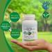 Mr. Ros Marine Phytoplankton Energy Supplements - All in One Superfood Capsules - Natural Vitamin and Energy Boost - 90 Pill Capsules - Buy Online on GoSupps.com