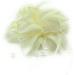 Ladies Ivory Feather Beaded Beak Clip Fascinator for Weddings, Races, Royal Ascot - Buy Online on GoSupps.com