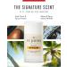 St Johns Bay Rum Aluminum Free Deodorant | Long-Lasting Odor Resistant & Soothing | Clear Deodorant Stick | Odor-Free Deodorant Made of Natural Compounds | Mens Bay Rum Deodorant (2.6 oz Stick) - Buy Online on GoSupps.com