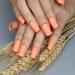 Buy HUJL 24pcs Matte Orange Artificial Nails - Trendy Short Fashion Nails for Stylish Looks - Buy Online on GoSupps.com
