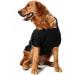 Shop Waterproof Dog Coat - Winter Jacket for Puppies & Medium Dogs | Warm Fleece Sweater & Autumn Hoodie (2XL 11111DEBKA-Black) - Buy Online on GoSupps.com