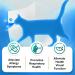 L-Lysine Powder for Cats 120g Lysine Powder Supports Cats Immune System Respiratory Health & Visual Function Lysine Powder Improve Cats Eye Discharge Pets Health Supplies Salmon Flavor - 4.23oz - Buy Online on GoSupps.com