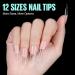 Tomicca Stiletto Long Nail Tips - 240 Half Matt Gel Full Cover Tips for Geln gel & Acrylic Nails - Buy Online on GoSupps.com