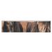 Resistance Bands Exercise Bands Two Tall Rhinoceros Printed Elastic Band Leg Bands Resistance Fitness Bands Fabric Resistance Bands