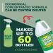 Simple Green All Purpose Cleaner Concentrate 64 Fl Oz - Eco-Friendly Multi-Surface Cleaning Solution for Home & Office - Fast International Shipping - Buy Online on GoSupps.com