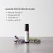 Ellia Lavender Essential Oil Roll-On | 100% Pure Therapeutic Grade | 10ml (0.34 Fl Oz) - Relax & Rejuvenate - Buy Online on GoSupps.com