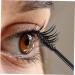 Hemoton 5pcs Mascara Tube 10ml Empty Eyelashes Bottle Eyelash Sub Tube Eyelash Tube Empty Tube for Eyelash 1 g (Pack of 1) Black - Buy Online on GoSupps.com
