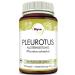 Pleurotus organic medicinal mushroom | 93 capsules each 450mg powder | Rich in vitamin B | Mushroom powder capsules Made in Germany ORGANIC Pleurotus