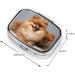Buy Cute Pomeranian 2 Compartment Pill Case - Small Travel Pill Organizer & Purse Gift - Buy Online on GoSupps.com