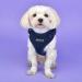 Puppia Ritefit Dog Harness for Small to Medium Dogs - Adjustable & Soft | Atani Train Crockery for Puppies - Navy XL - Buy Online on GoSupps.com