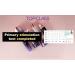 CHARMZONE TopClass Lifting Moist Cream 1.69 Oz - Triple Collagen & Protein for Elasticity | Premium Korean Skin Care - Buy Online on GoSupps.com