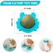 AUCENIX Cattion Mist Balls - Edible Dental Toys for Cats | Natural Rotating Cat Toys & Wall Rollers for Kittens (Blue) - Buy Online on GoSupps.com