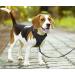 POPOT No Pull Dog Harness - Reflective Adjustable & Soft Padded Vest for XS Black Dogs | Choke-Free Comfort & Easy Control Handle - Buy Online on GoSupps.com