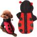 Shop Bagima Ladybug Dog Costume | Warm Hooded Sweater for Small Dogs | Perfect Halloween & Winter Outfit - Buy Online on GoSupps.com