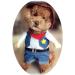 NACOCO Cowboy Dog Costume with Hat - Halloween Costume for Small Dogs and Cats - Buy Online on GoSupps.com