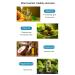 Men's Cologne Essential Oil Soap | Pheromone Bar Soap | Cologne Scented Body Wash for Natural Skin Care - Buy Online on GoSupps.com