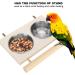 Buy Parrot Folding Cup & Gel Feed Dish - Stainless Steel with Stand | Ideal Bird Feeder for Water & Food - Buy Online on GoSupps.com