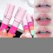 Moisturizing Lip Balm - Moisturizing Stick Balm in 4 Shades Natural Glossy Finish with Plumping Effect Smear Resistant for Women in Beauty Products - Buy Online on GoSupps.com