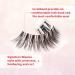 Ardell Wispies 113 Black - 6 Pairs - 1 Pack | Luxe False Eyelashes - Buy Online on GoSupps.com
