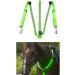 TYTOGE LED Horse Breatplate Collar Night Visible LED Horse Chest Collar Luminous Horse Chest Strap Safety Gear in Night Equipment Green - Buy Online on GoSupps.com