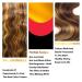 BEANATASHA 18 Ombre Body Wave Lace Front Wig P4/27 | Pre Plucked 180% Density Human Hair - Star Popular Option - Buy Online on GoSupps.com