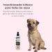 Petuxe Biphasic Conditioner for Pets - Vegan Formula for Dogs & Cats | Moisturizes & Adds Shine | 300ml - Buy Online on GoSupps.com