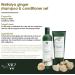 Weilaiya Ginger Prevent Hair Loss Shampoo & Conditioner Set - 400mL & 250mL | International Shipping Available - Buy Online on GoSupps.com